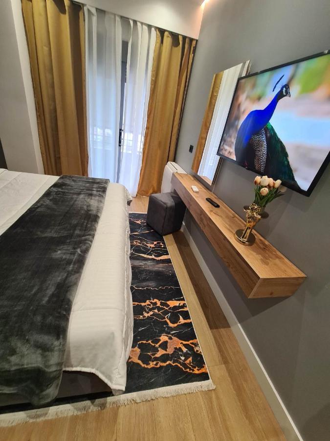 Grey Luxury Apartment Gjirokastër Екстериор снимка